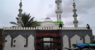 Rayachoty Masjid