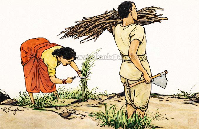  యంగముని వ్యవసాయం (కథ) – ఎన్. రామచంద్ర