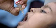 pulse polio immunization