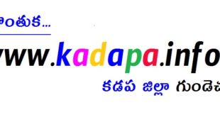 www.kadapa.info